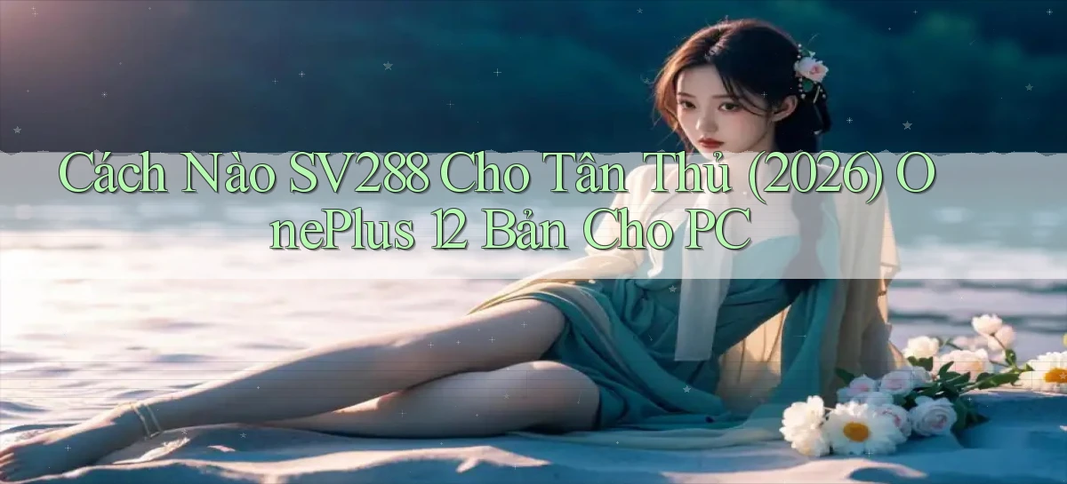 Cách nào Sv288 cho tân thủ (2026) OnePlus 12 bản cho PC