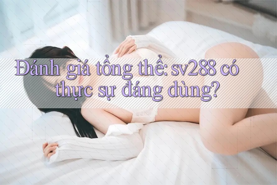 Đánh giá tổng thể: sv288 có thực sự đáng dùng? Đánh giá tổng thể: sv288 có thực sự đáng dùng?