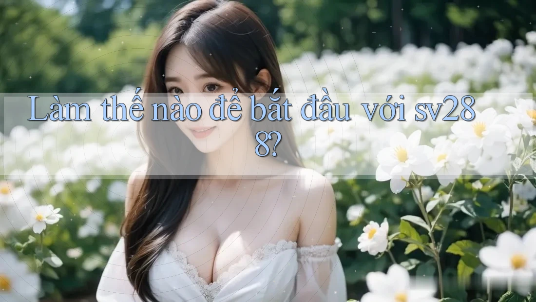 Làm thế nào để bắt đầu với sv288? Làm thế nào để bắt đầu với sv288?
