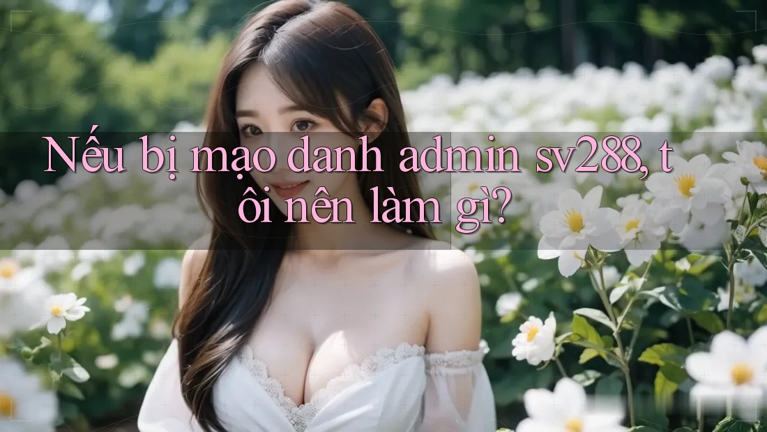 Nếu bị mạo danh admin sv288, tôi nên làm gì?