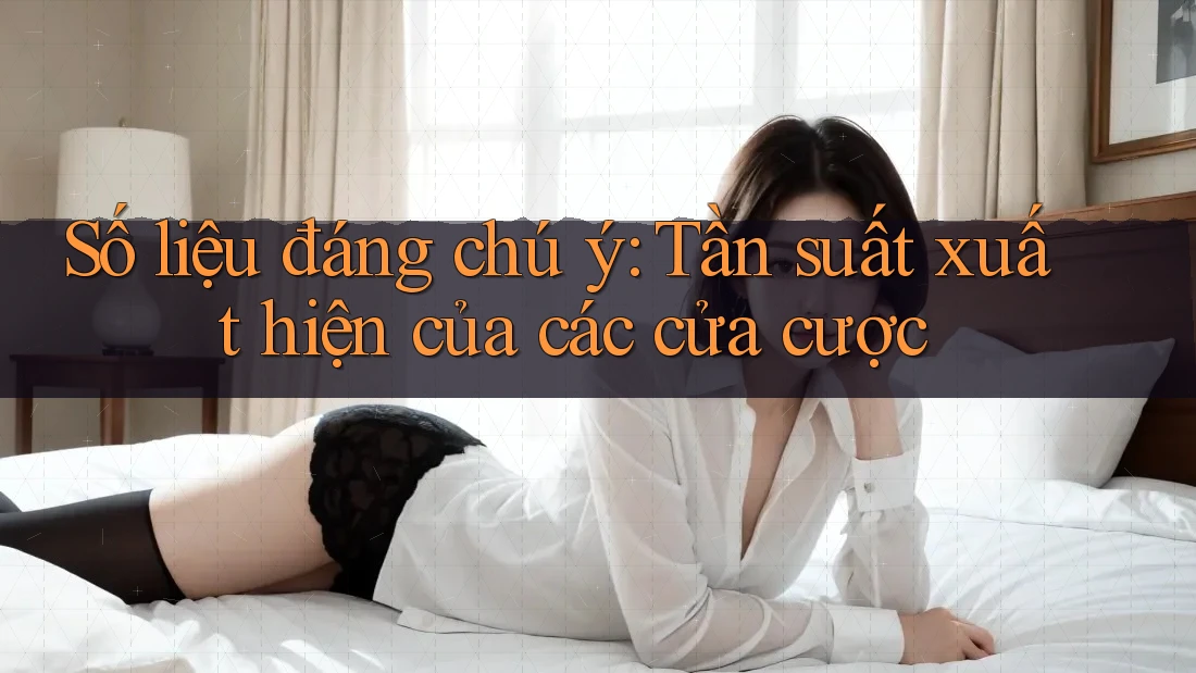 Số liệu đáng chú ý: Tần suất xuất hiện của các cửa cược