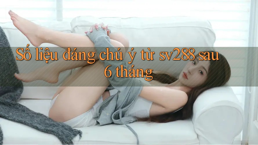Số liệu đáng chú ý từ sv288 sau 6 tháng Số liệu đáng chú ý từ sv288 sau 6 tháng