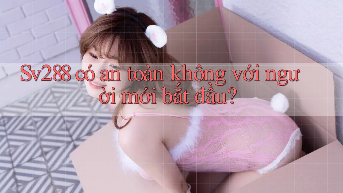 Sv288 có an toàn không với người mới bắt đầu? Sv288 có an toàn không với người mới bắt đầu?