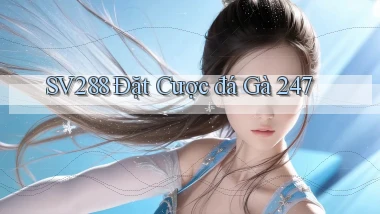 sv288  Đặt cược đá gà 24／7