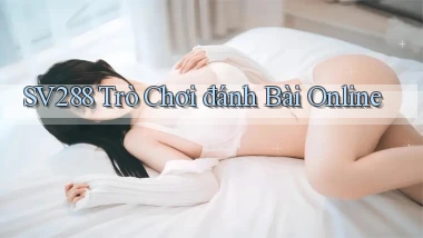 sv288  trò chơi đánh bài online
